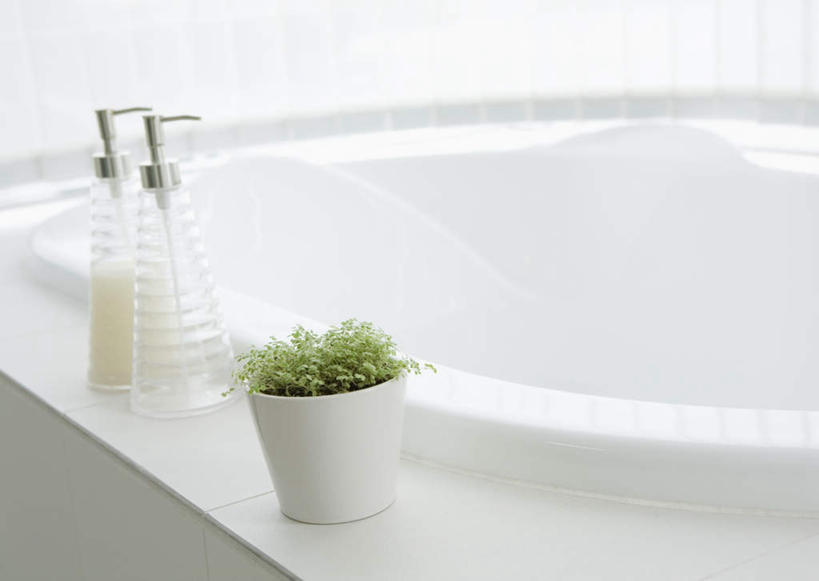 无人,家,横图,室内,白天,正面,植物,别墅,家具,卫生间,洗手间,装修,建筑,欧式,护肤,装饰,罐子,盆栽,洗发水,房屋,屋子,公寓,盆景,豪华,建设,现代,装潢,洋房,楼房,住宅,玻璃制品,两个,绿色,自然,玻璃瓶,瓶子,室内装潢,浴缸,清洁,保养,享受,休闲,洗发液,放松,保健,生长,成长,洗发露,样板房,明亮,一盆,舒适,家居装潢,护肤品,香波,护肤用品,舒缓,房屋设计,地中海风格,古典风格,简约风格,卫浴设备,室内设计,宽敞,去污,控油,样板房装潢,水管装置,设计,淋浴房,彩图,冲凉房,房子,沐浴间,沐浴室,洗发精,洗发香波