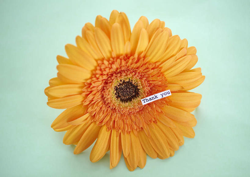 无人,横图,俯视,室内,特写,白天,自由,幸福,父亲节,绿色背景,节日,庆祝,盛开,英文,标志,文字,字符,字母,波斯菊,纸条,花蕾,文化,标识,花,花瓣,花朵,鲜花,一朵,黄色,花苞,花蕊,清洁,庆典,菊花,摄影,大波斯菊,影棚,摆放,纪念,英文字母,吉祥,放置,感恩,高洁,秋英,格桑花,秋樱,扫帚梅,八瓣梅,初恋,多情,彩图,高角度拍摄,影棚拍摄,拍摄,时光