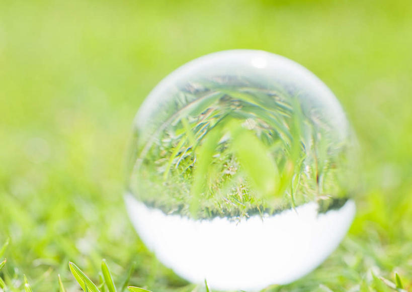 无人,横图,室外,特写,白天,正面,草地,草坪,植物,阴影,朦胧,模糊,透明,光线,影子,水晶,草,一个,绿色,阳光,球体,水晶球,单个,彩图