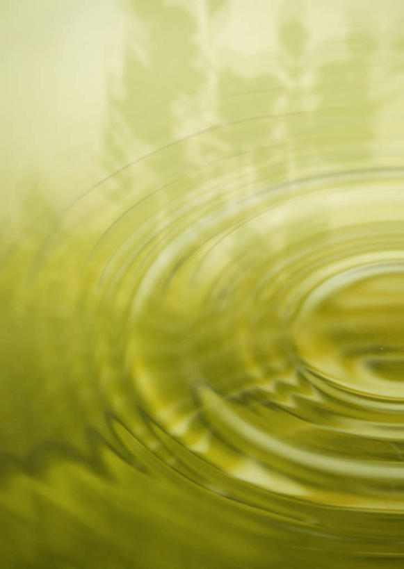 无人,竖图,室内,白天,正面,数码,科技,树林,植物,阴影,波纹,朦胧,模糊,环绕,围绕,网络,涟漪,高光,几何,计算机图形,合成,树,树木,绿色,水纹,自然,波浪,生长,成长,电脑合成图,数码合成图,合成图,水晕,写实,具体,具象,彩图