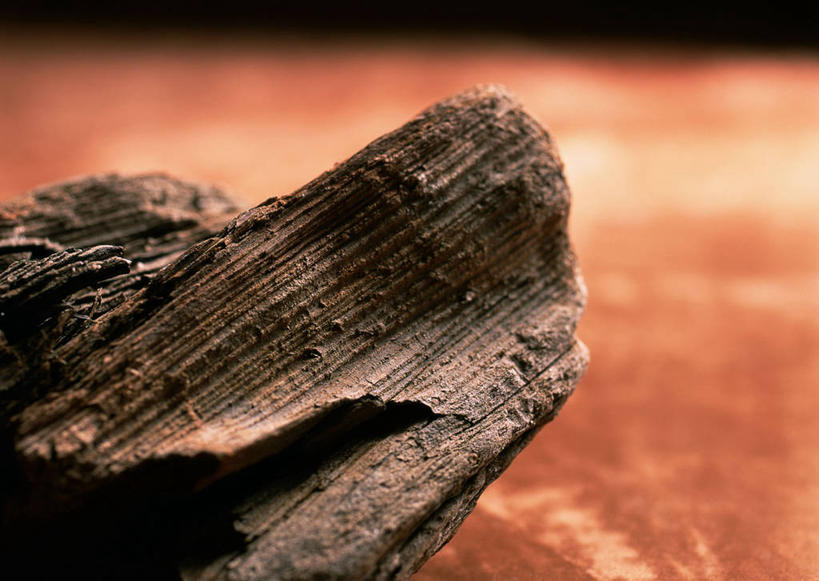 无人,横图,俯视,室内,特写,白天,静物,阴影,反射,影子,树桩,树,树干,一个,木桩,单个,彩图,高角度拍摄