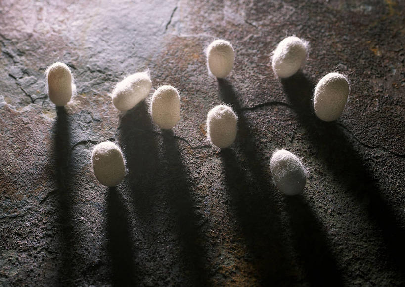 无人,横图,俯视,室内,特写,白天,地板,许多,阴影,反射,影子,地面,很多,木地板,蚕茧,家蚕茧,桑蚕茧,彩图,高角度拍摄