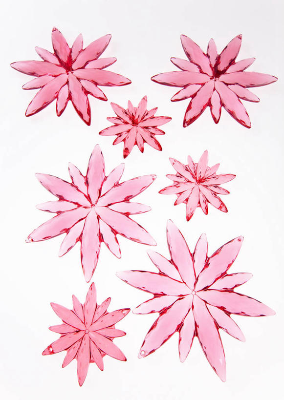 无人,竖图,室内,特写,白天,白色背景,正面,爱情,幸福,静物,盛开,透明,粉红色,粉红,浪漫,花蕾,花,花瓣,花朵,鲜花,粉色,花苞,花蕊,健康,可爱,摄影,活泼,影棚,青春,满足,甜美,时髦,温柔,纯真,通明,彩图,影棚拍摄,拍摄