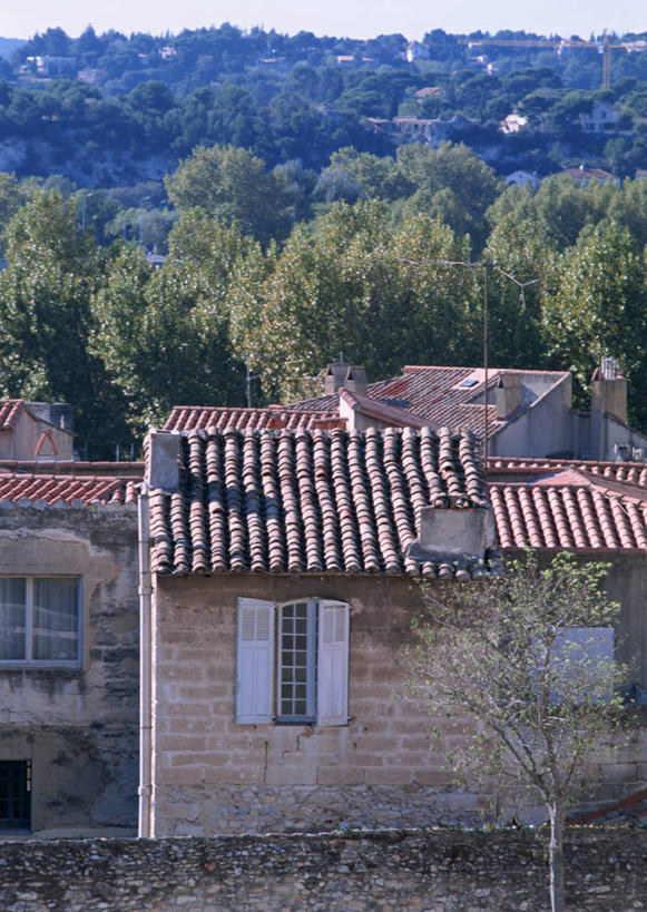 无人,家,竖图,室外,白天,正面,度假,美景,森林,树林,植物,窗户,城市风光,城市,建筑,法国,欧洲,阴影,光线,瓦片,影子,房屋,墙,屋顶,屋子,景观,公寓,顶棚,瓦,娱乐,洋房,楼房,玻璃窗,墙壁,墙面,住宅,树,树木,蓝色,绿色,蓝天,天空,阳光,自然,天,享受,休闲,景色,放松,建造,生长,晴朗,成长,屋瓦,万里无云,法兰西共和国,法兰西第五共和国,亚维尼翁,晴空,晴空万里,彩图,房子