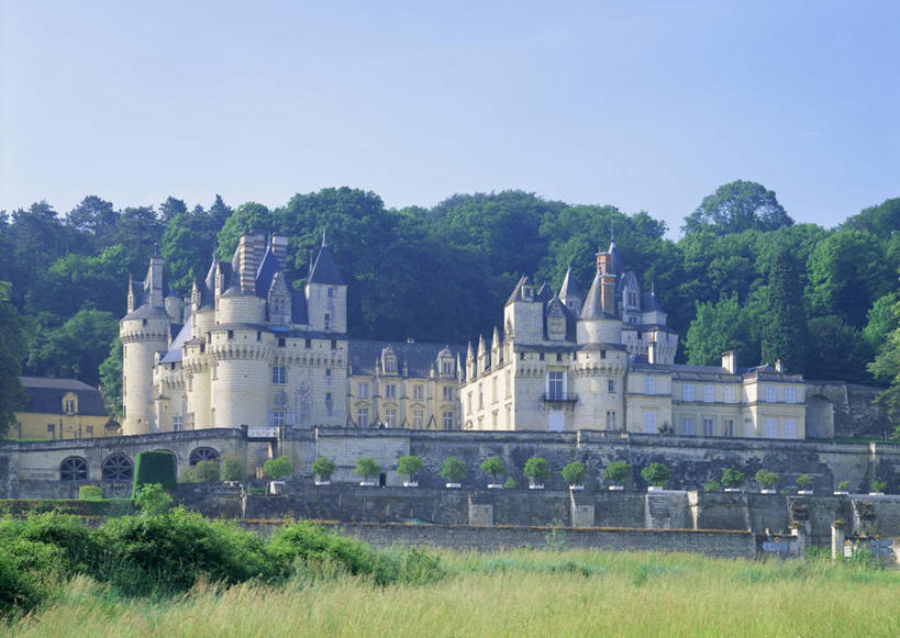 无人,家,横图,室外,白天,正面,旅游,度假,名胜古迹,森林,树林,植物,别墅,标志建筑,地标,建筑,法国,欧洲,阴影,遗迹,光线,影子,堡垒,城堡,房屋,屋子,公寓,古迹,文物,娱乐,建设,古建筑,洋房,楼房,住宅,树,树木,蓝色,绿色,蓝天,天空,阳光,自然,天,享受,休闲,旅游胜地,放松,生长,晴朗,成长,要塞,古文明,万里无云,法兰西共和国,法兰西第五共和国,设防,安德尔.卢瓦尔省,中央大区,晴空,晴空万里,彩图,房子