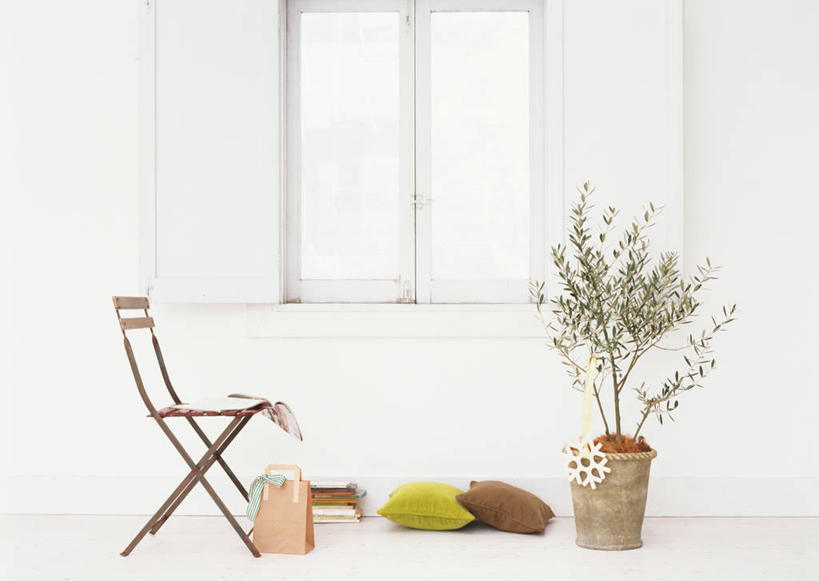 无人,横图,室内,白天,正面,植物,窗户,靠垫,椅子,圣诞节,节日,庆祝,装饰,盆栽,丝绸,丝带,木椅,墙,雪景,缎带,靠枕,盆景,文化,玻璃窗,墙壁,墙面,绸带,装饰品,绿色,自然,装饰物,垫子,枕头,庆典,生长,成长,纪念,华丽,修饰,点缀,饰物,衬托,美观,雅致,雅观,彩图