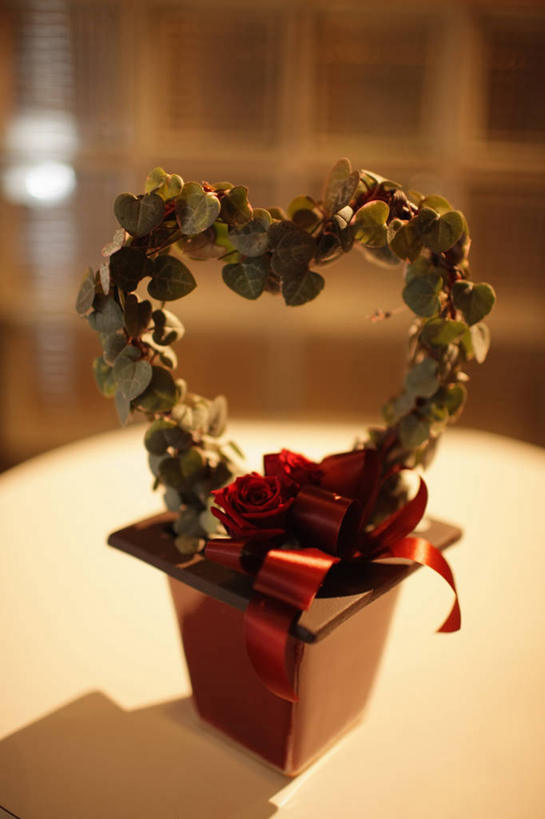 无人,竖图,俯视,室内,特写,白天,爱情,植物,桌面,桌子,情人节,阴影,节日,爱心,朦胧,模糊,庆祝,装饰,光线,木制,盆栽,丝绸,丝带,影子,缎带,盆景,浪漫,文化,绸带,绿色,阳光,自然,木制品,庆典,温暖,温馨,心形,恩爱,生长,成长,纪念,华丽,修饰,点缀,和睦,衬托,美观,雅致,雅观,心型,彩图,高角度拍摄,融洽