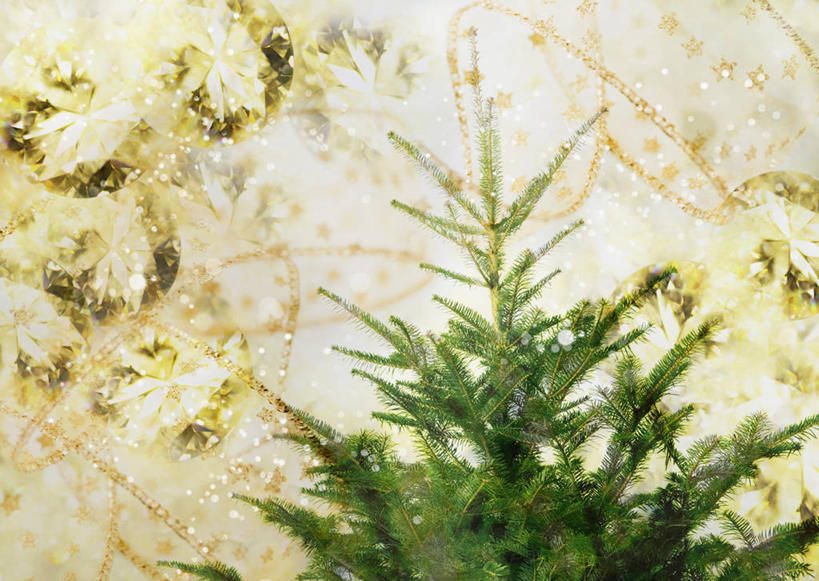 无人,横图,室内,白天,正面,数码,科技,植物,叶子,圣诞节,阴影,节日,庆祝,网络,绿叶,圣诞树,高光,几何,计算机图形,合成,文化,树,树木,绿色,自然,庆典,嫩叶,生长,成长,纪念,电脑合成图,数码合成图,合成图,写实,具体,具象,叶,叶片,彩图