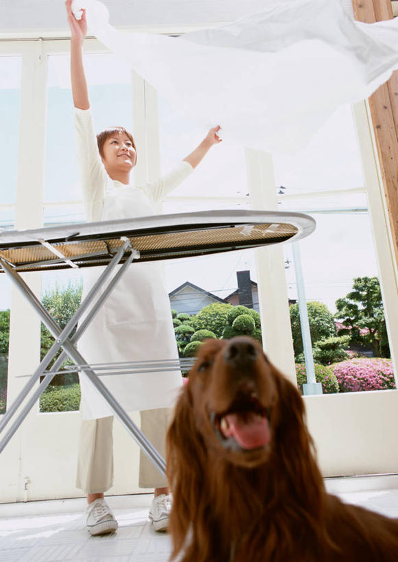 东方人,一个人,站,举,笑,微笑,露齿笑,竖图,室内,白天,仰视,植物,窗户,宠物,狗,纺织品,亚洲,仅一个年轻女性,仅一个女性,仅一个人,握,服装,朦胧,模糊,装饰,毛毯,毯子,拿,拿着,注视,休闲装,黄种人,熨烫,玻璃窗,树,树木,纺织,一只,衣服,绿色,自然,动物,垫子,观察,看,托,站着,休闲,温暖,休闲服,可爱,握着,服饰,生长,成长,烫衣板,观看,华丽,修饰,点缀,察看,关注,熨衣板,家居用品,忠诚,电熨板,烫衣,家庭用品,衬托,美观,雅致,雅观,英国蹲猎犬,英国塞特犬,英国雪达犬,蹲猎犬,塞特犬,雪达犬,年轻女性,女人,女性,亚洲人,犬,举起,举手,举着,向上举,向上伸,向上托,站立,彩图,低角度拍摄,全身