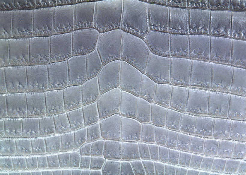 无人,横图,室内,特写,白天,正面,静物,一块,装饰,纹路,纹理,皮,皮革,灰色,温暖,皮肤,保暖,华丽,鳄鱼皮,皮毛,点缀,御寒,肌理,衬托,美观,雅致,雅观,柔和,大方,细致,中间色,朴素,平稳,彩图,鳄鱼皮革