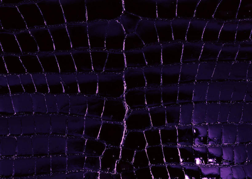 无人,横图,室内,特写,白天,正面,神秘,静物,一块,装饰,纹路,纹理,皮,皮革,紫色,温暖,皮肤,保暖,华丽,鳄鱼皮,皮毛,点缀,优美,御寒,庄重,高贵,消极,肌理,衬托,美观,雅致,雅观,冷色,孤寂,彩图,鳄鱼皮革,奢华