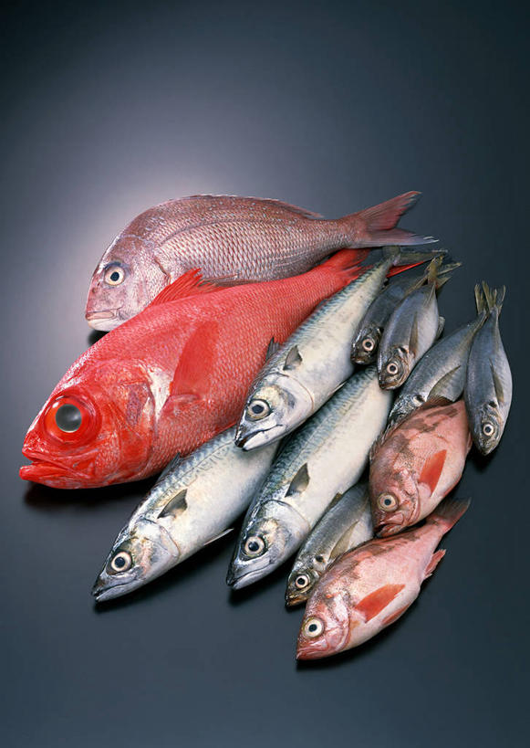 海鲜,无人,竖图,俯视,室内,特写,白天,一排,许多,阴影,整齐,并列,并排,反射,鱼,影子,很多,鲷鱼,鲭鱼,水产,鱼类,海洋生物,排列,摄影,影棚,巴浪,鲷,花池鱼,花鲱,花鳀,加吉鱼,青花鱼,石斑,石斑鱼,鲐鲅鱼,铜盆鱼,油胴鱼,真鲷,竹荚鱼,队列,水生动物,海产品,平行,水生物,红鲷,海底动物,班加吉,加真鲷,红加吉,过鱼,海鸡鱼,红季鱼,会鱼,季鱼,鲙鱼,刺公,山鲐鱼,彩图,高角度拍摄,全身,影棚拍摄,拍摄