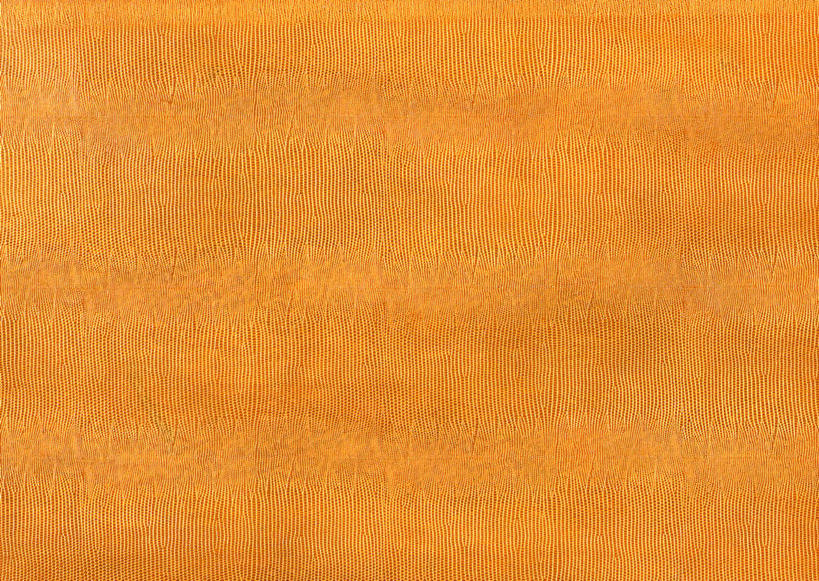 无人,横图,室内,特写,白天,正面,静物,一块,装饰,透明,纹路,纹理,皮,皮革,辉煌,黄色,健康,温暖,活泼,希望,皮肤,保暖,华丽,暖色,牛皮,皮毛,点缀,御寒,光辉,肌理,衬托,美观,雅致,雅观,光明,功名,轻快,彩图,牛皮革,黄牛皮