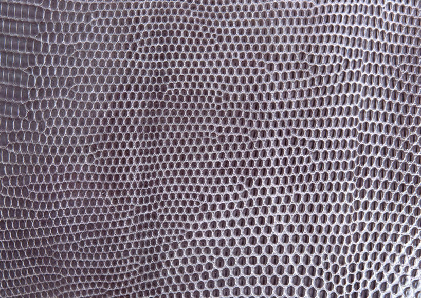 无人,横图,室内,特写,白天,正面,静物,阴影,反射,纹路,纹理,影子,皮,皮革,灰色,皮肤,皮毛,蜥蜴皮,肌理,柔和,大方,细致,中间色,朴素,平稳,彩图,蜥蜴皮革