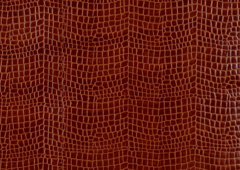 无人,横图,室内,特写,白天,正面,静物,阴影,丰富,反射,纹路,纹理,影子,皮,褐色,皮革,成熟,皮肤,牛皮,皮毛,肌理,谦让,随和,彩图,牛皮革