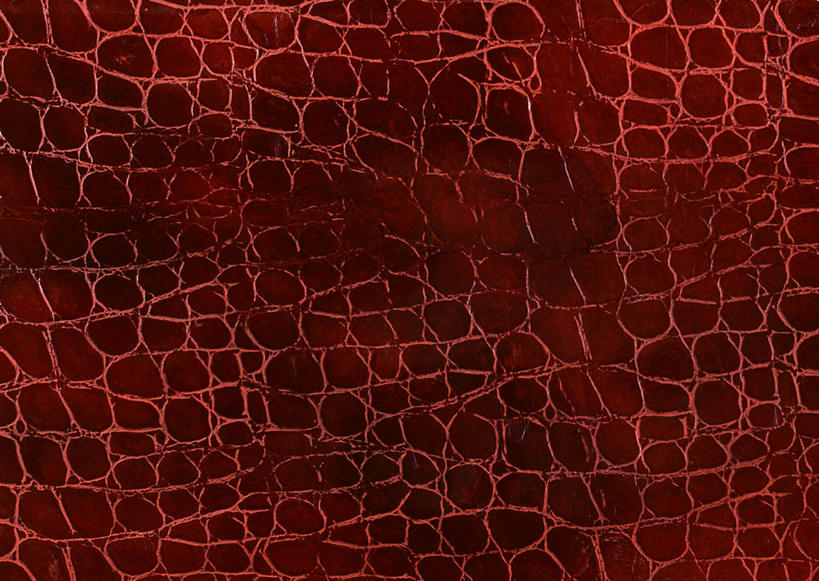 无人,横图,室内,特写,白天,正面,静物,阴影,丰富,反射,纹路,纹理,影子,皮,褐色,皮革,成熟,皮肤,牛皮,皮毛,肌理,谦让,随和,彩图,牛皮革