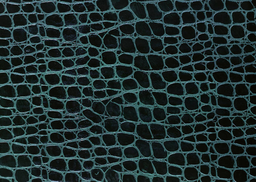 无人,横图,室内,特写,白天,正面,静物,阴影,新鲜,反射,纹路,纹理,影子,皮,皮革,绿色,青春,皮肤,牛皮,皮毛,生命,和平,安详,肌理,冷色,彩图,牛皮革