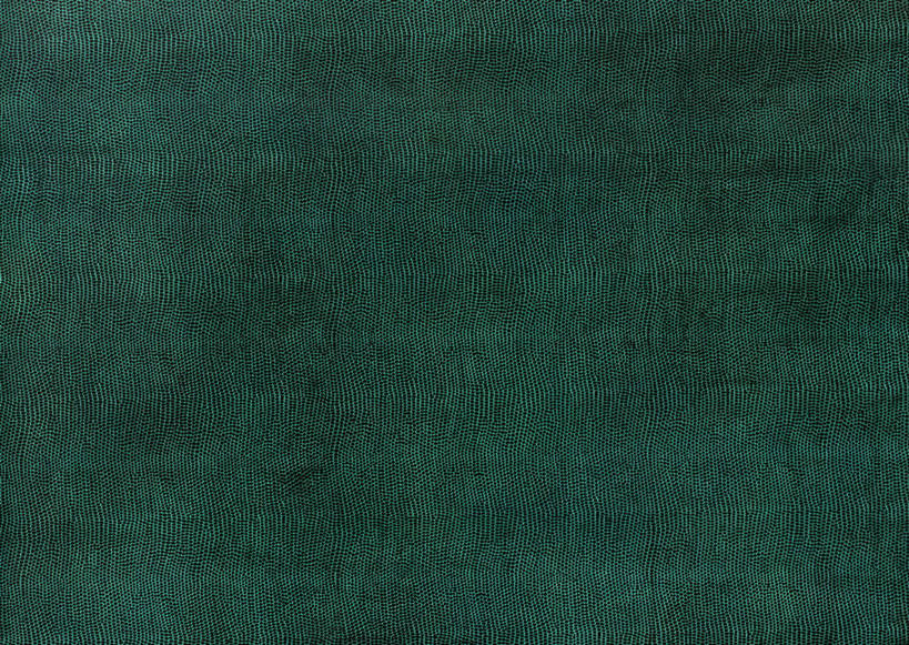 无人,横图,室内,特写,白天,正面,静物,阴影,新鲜,反射,纹路,纹理,影子,皮,皮革,绿色,青春,皮肤,牛皮,皮毛,生命,和平,安详,肌理,冷色,彩图,牛皮革