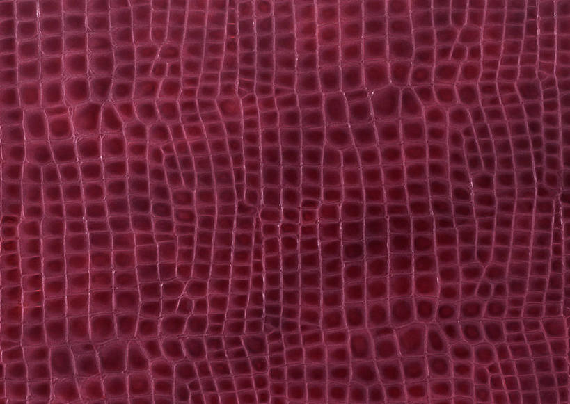 无人,横图,室内,特写,白天,正面,静物,阴影,丰富,反射,纹路,纹理,影子,皮,褐色,皮革,成熟,皮肤,牛皮,皮毛,肌理,谦让,随和,彩图,牛皮革