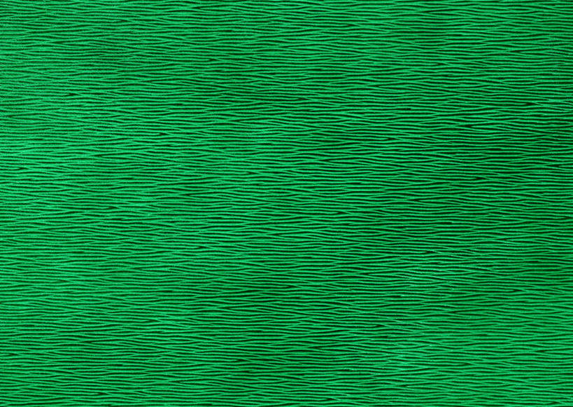 无人,横图,室内,特写,白天,正面,静物,阴影,新鲜,反射,纹路,纹理,影子,皮,皮革,绿色,青春,皮肤,牛皮,皮毛,生命,和平,安详,肌理,冷色,彩图,牛皮革