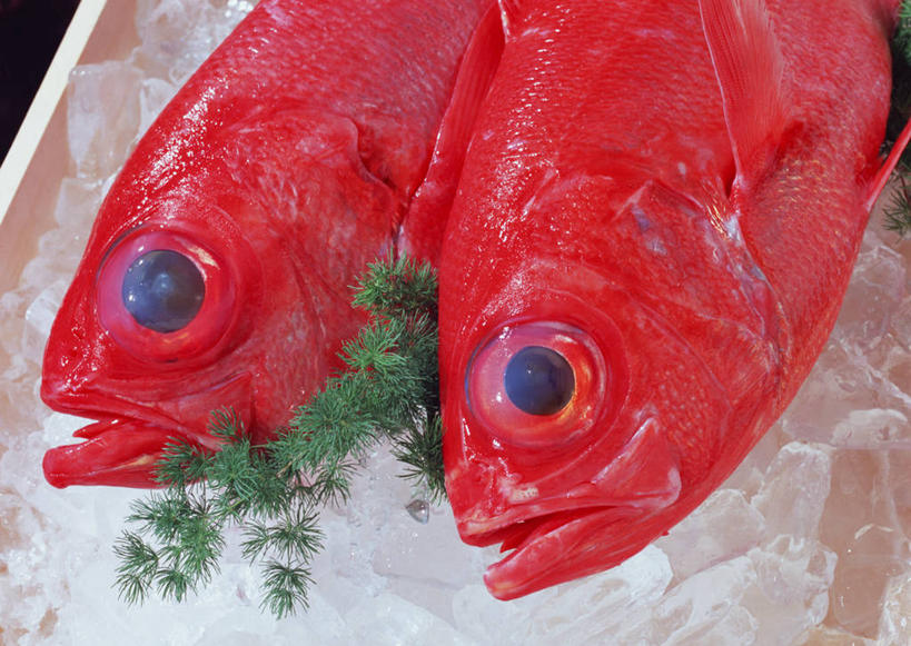 海鲜,无人,横图,俯视,室内,特写,白天,叶子,两条,阴影,黑色背景,反射,木制,木盒,影子,冰,冰块,绿叶,鲷鱼,冷冻,水产,海洋生物,一个,木制品,容器,嫩叶,寒冷,摄影,影棚,冷藏,单个,储藏,鲷,加吉鱼,金眼鲷,铜盆鱼,死亡,冰冷,储存,水生动物,海产品,水生物,海底动物,班加吉,加真鲷,保鲜,殒命,灭亡,叶,叶片,半身,彩图,高角度拍摄,影棚拍摄,拍摄,后鳍金眼鲷,贮存