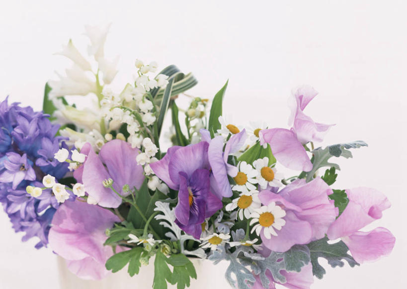 无人,横图,室内,白天,白色背景,正面,爱情,快乐,幸福,智慧,风信子,紫罗兰,叶子,艺术,装饰,盛开,铃兰花,绿叶,香豌豆,玛格丽特,清凉,花蕾,文化,雏菊,花,花瓣,花朵,鲜花,插花,夏天,花苞,花蕊,嫩叶,菊花,活力,摄影,影棚,希望,悲伤,华丽,修饰,喜悦,插花艺术,铃铛花,铃兰,点缀,豌豆花,创造,坚强,风信花,创作,怀念,和平,想象,三色紫罗兰,离别,永恒,君影草,山谷百合,香水花,延命菊,幸福花,春菊,马兰头花,悲哀,衬托,美观,雅致,雅观,思念,质朴,腐香豌豆,花豌豆,美德,暗恋,纯情,单恋,纯爱,天真,西洋水仙,叶,叶片,草紫罗兰,草桂花,彩图,影棚拍摄,愉快,拍摄