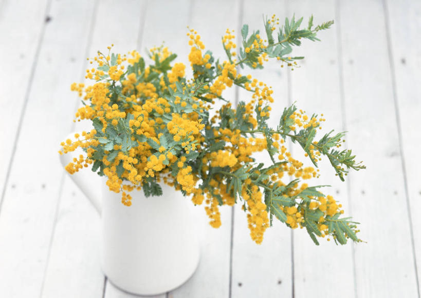 无人,横图,俯视,室内,特写,白天,快乐,智慧,桌面,桌子,花瓶,叶子,阴影,朦胧,模糊,艺术,装饰,盛开,反射,木制,影子,陶瓷,绿叶,陶瓷制品,花蕾,文化,花,花瓣,花朵,鲜花,一个,黄色,插花,木制品,瓶子,花苞,花蕊,嫩叶,单个,华丽,修饰,插花艺术,点缀,创造,创作,想象,衬托,美观,雅致,雅观,金合欢,鸭皂树,稍纵即逝,金合欢树,叶,叶片,彩图,高角度拍摄