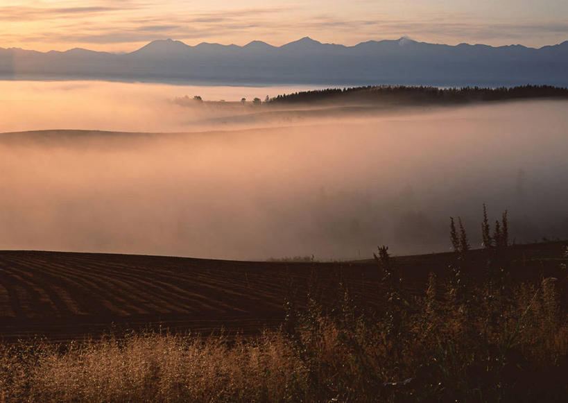 无人,公园,横图,俯视,室外,白天,旅游,度假,日出,火山,美景,森林,山,山脉,树林,太阳,植物,雾,北海道,日本,亚洲,阴影,朦胧,模糊,光线,影子,景观,山峰,朝霞,晨曦,黎明,山峦,娱乐,树,树木,绿色,阳光,自然,群山,享受,休闲,景色,放松,生长,成长,迷雾,自然风光,东亚,日本国,北海道地方,北海道岛,国立公园,活火山,朝阳,大雾,彩图,高角度拍摄,卯时,破晓,日始,大雪山国立公园