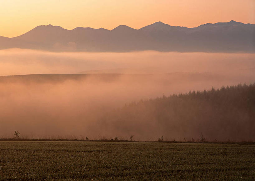 无人,公园,横图,室外,白天,正面,旅游,度假,日出,火山,美景,森林,山,山脉,树林,太阳,植物,雾,北海道,日本,亚洲,阴影,朦胧,模糊,光线,影子,景观,山峰,朝霞,晨曦,黎明,山峦,娱乐,树,树木,绿色,阳光,自然,群山,享受,休闲,景色,放松,生长,成长,迷雾,自然风光,东亚,日本国,北海道地方,北海道岛,国立公园,活火山,朝阳,大雾,彩图,卯时,破晓,日始,大雪山国立公园