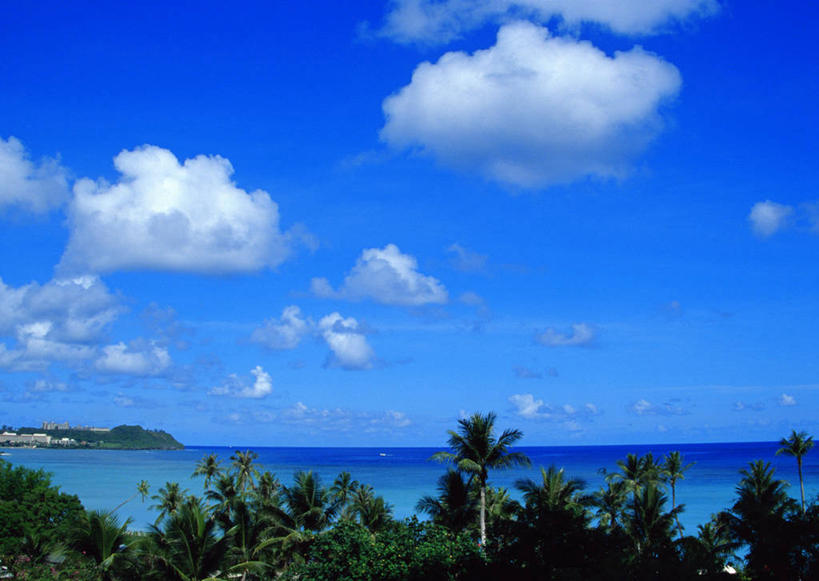 无人,横图,室外,白天,正面,旅游,度假,海浪,海洋,美景,树林,植物,棕榈树,叶子,美国,阴影,光线,影子,景观,浪花,水平线,云,云朵,辽阔,绿叶,海平线,云彩,娱乐,树,树木,蓝色,绿色,白云,蓝天,天空,阳光,自然,海水,天,享受,休闲,广阔,嫩叶,景色,放松,生长,晴朗,成长,一望无际,北美,北美洲,自然风光,美洲,海景,棕榈叶,北亚美利加洲,亚美利加洲,关岛,无边无际,一马平川,马里亚纳群岛,叶,叶片,大海,风浪,海,海水的波动,近岸浪,涌浪,晴空,棕树,棕榈,彩图,水天相接,水天一线