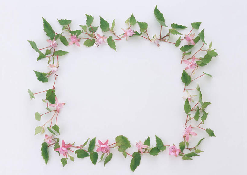 无人,横图,俯视,室内,特写,白天,白色背景,海棠花,叶子,相框,装饰,环绕,盛开,围绕,图形,海棠,绿叶,长方形,几何,花蕾,环抱,花,花瓣,花朵,鲜花,一个,粉色,花苞,花蕊,嫩叶,自信,摄影,影棚,单个,呵护,华丽,修饰,秋海棠,点缀,矩形,数学,衬托,美观,雅致,雅观,萦绕,八月春,解语花,相思草,岩丸子,叶,叶片,彩图,高角度拍摄,影棚拍摄,拍摄,几何图形,平面图形