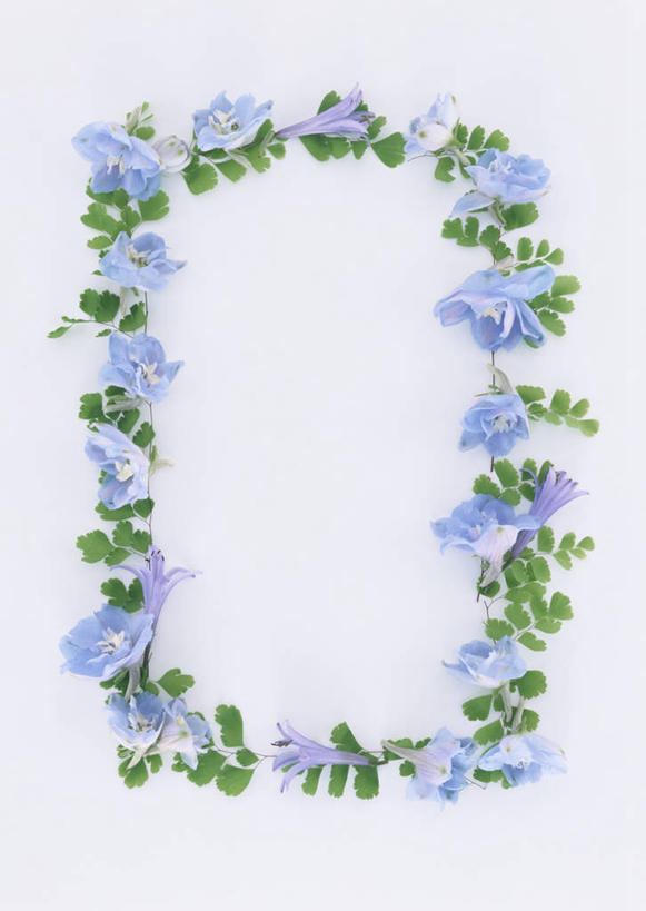 无人,竖图,俯视,室内,特写,白天,白色背景,爱情,叶子,相框,装饰,环绕,盛开,围绕,图形,绿叶,长方形,几何,花蕾,环抱,花,花瓣,花朵,鲜花,一个,紫色,花苞,花蕊,嫩叶,恋爱,摄影,影棚,单个,华丽,修饰,百子莲,点缀,矩形,数学,衬托,美观,雅致,雅观,萦绕,蓝花君子兰,紫花君子兰,紫君子兰,紫穗兰,叶,叶片,彩图,高角度拍摄,影棚拍摄,拍摄,几何图形,平面图形