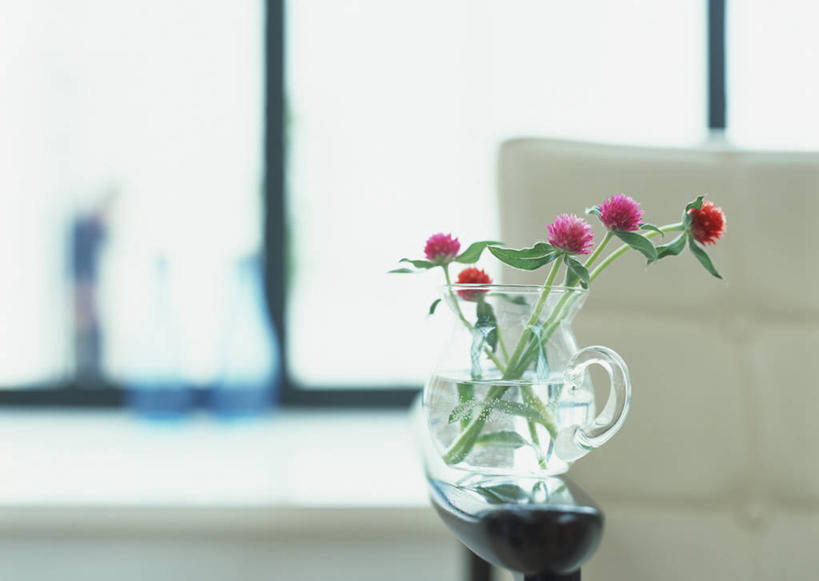 无人,横图,室内,特写,白天,正面,水,窗户,桌子,花瓶,叶子,椅子,阴影,朦胧,模糊,装饰,盛开,反射,液体,影子,水滴,绿叶,花蕾,玻璃窗,玻璃制品,花,花瓣,花朵,鲜花,红色,玻璃瓶,瓶子,花苞,花蕊,嫩叶,华丽,修饰,点缀,苋菜,衬托,美观,雅致,雅观,凫葵,米苋,青香苋,莹莹菜,红苋菜,叶,叶片,彩图