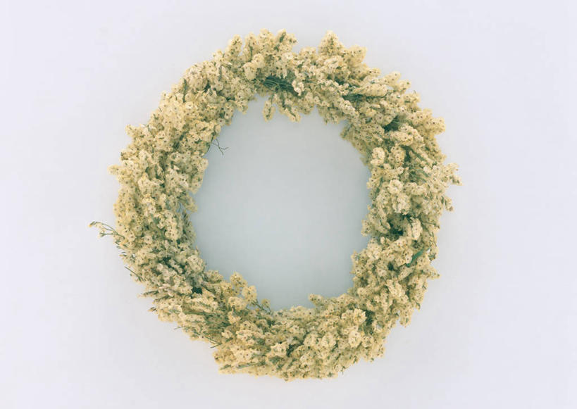 无人,横图,俯视,室内,特写,白天,白色背景,勿忘我,相框,装饰,环绕,盛开,围绕,圆形,图形,圆,几何,花蕾,环抱,花,花瓣,花朵,鲜花,一个,花苞,花蕊,摄影,影棚,单个,华丽,修饰,点缀,数学,衬托,美观,雅致,雅观,萦绕,星辰花,勿忘草,斯太菊,矶松,彩图,高角度拍摄,影棚拍摄,拍摄,几何图形,平面图形