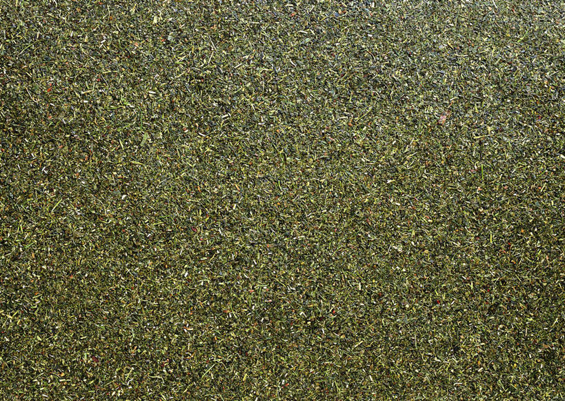 无人,横图,俯视,室内,特写,白天,幸福,茶,一堆,许多,阴影,堆叠,堆积,新鲜,反射,影子,绿茶,茶叶,娱乐,绿色,享受,休闲,温馨,放松,乐趣,青春,堆,提神,舒适,生命,醒脑,和平,安详,冷色,彩图,高角度拍摄,不发酵茶,苦茗