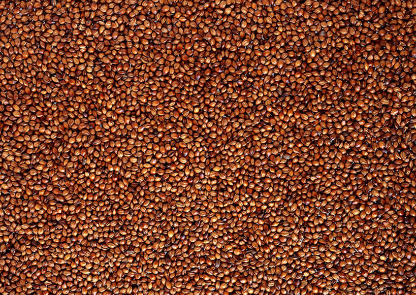 无人,横图,俯视,室内,特写,白天,幸福,茶,一堆,许多,阴影,堆叠,堆积,丰富,反射,影子,茶叶,褐色,娱乐,享受,休闲,温馨,成熟,放松,乐趣,大麦茶,堆,大麦,提神,舒适,醒脑,谦让,随和,彩图,高角度拍摄