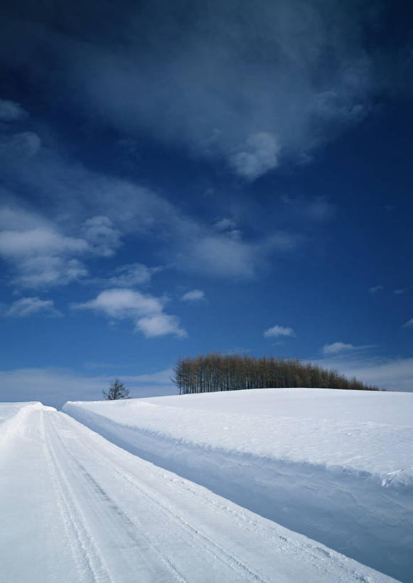 无人,竖图,室外,白天,正面,旅游,度假,美景,树林,雪,植物,大雪,北海道,日本,亚洲,阴影,光线,影子,积雪,景观,雪景,云,云朵,冬季,冬天,云彩,娱乐,树,树木,蓝色,绿色,白云,蓝天,天空,阳光,自然,天,享受,休闲,景色,放松,寒冷,生长,晴朗,成长,自然风光,东亚,日本国,北海道地方,北海道岛,富良野,严寒,道北,富良野市,晴空,彩图,上川支厅