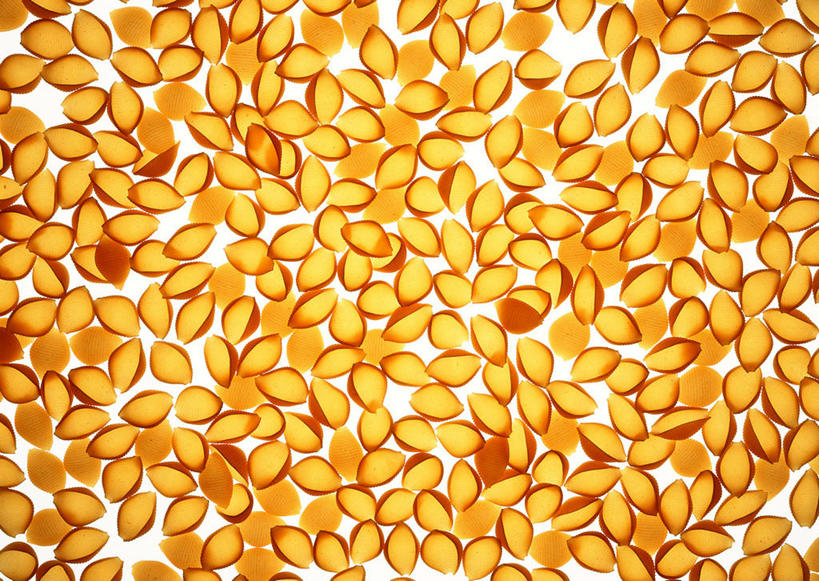 面食,面条,意大利面,无人,横图,俯视,室内,特写,白天,西餐,一堆,许多,阴影,堆叠,堆积,透明,反射,影子,面,料理,食品,辉煌,食物,黄色,健康,西式,活泼,希望,堆,暖色,贝壳面,光辉,光明,功名,轻快,彩图,高角度拍摄