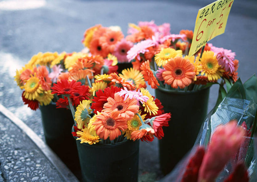 无人,花店,商店,横图,俯视,室内,特写,白天,度假,美景,植物,城市风光,城市,指示牌,纽约,美国,朦胧,模糊,盛开,英文,标志,盆栽,文字,字符,字母,景观,乡村,曼哈顿,非洲菊,盆景,花蕾,娱乐,标识,商铺,花,花瓣,花朵,鲜花,绿色,自然,村庄,花苞,花蕊,享受,休闲,菊花,景色,放松,生长,成长,英文字母,北美,北美洲,美洲,纽约州,帝国之州,帝国州,扶郎花,灯盏花,千日菊,北亚美利加洲,亚美利加洲,格林威治村,格林尼治村,西村,市肆,商号,彩图,高角度拍摄,店铺,曼哈顿岛