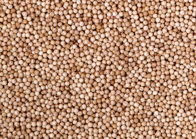 无人,横图,俯视,室内,特写,白天,一堆,许多,阴影,堆叠,堆积,反射,影子,调料,调味,香料,佐料,调味品,浪漫,调味料,温暖,米色,清爽,优雅,堆,白胡椒,配料,高贵,米白色,含蓄,纯净,作料,大气,胡椒,彩图,高角度拍摄,内敛