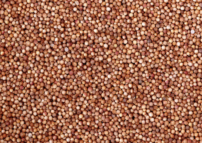 无人,横图,俯视,室内,特写,白天,蔬菜,一堆,许多,阴影,堆叠,堆积,丰富,新鲜,反射,影子,食品,褐色,食物,成熟,有机食品,绿色食品,堆,胡荽籽,谦让,随和,香菜籽,芫荽籽,须菜籽,彩图,高角度拍摄