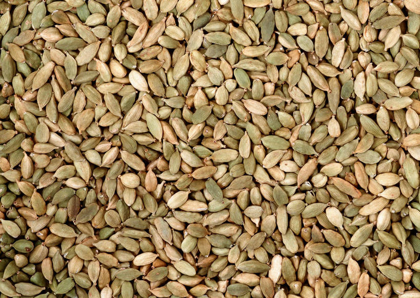 无人,横图,俯视,室内,特写,白天,植物,一堆,许多,阴影,堆叠,堆积,反射,影子,草药,药草,中药,堆,豆蔻,药材,中草药,中药材,本草,消食,白豆蔻,彩图,高角度拍摄,开胃