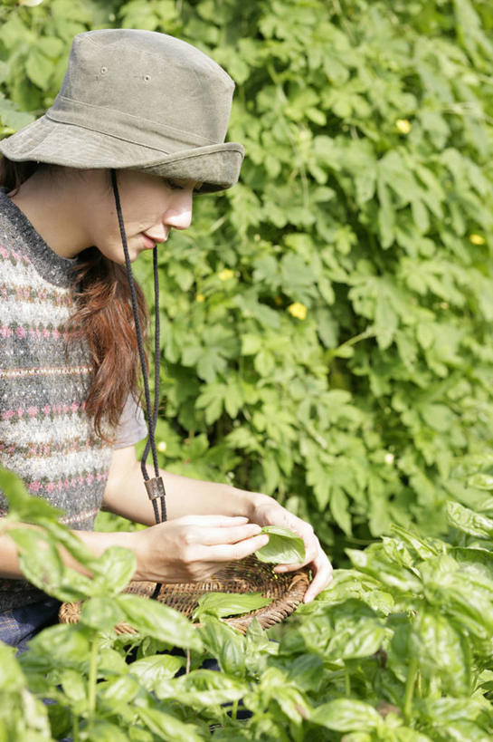 东方人,一个人,菜园,蹲,竖图,室内,白天,侧面,农作物,田园,蔬菜,帽子,亚洲,仅一个年轻女性,仅一个女性,仅一个人,握,服装,新鲜,暖棚,苦瓜,食品,拿,拿着,注视,休闲装,黄种人,食物,衣服,遮阳帽,观察,看,休闲,休闲服,凉瓜,握着,服饰,有机食品,绿色食品,观看,渔夫帽,察看,关注,菜棚,田庄,君子菜,癞瓜,癞葡萄,年轻女性,女人,女性,亚洲人,蹲着,半身,彩图