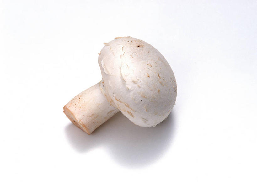 无人,横图,俯视,室内,特写,白天,白色背景,桌面,桌子,蔬菜,阴影,新鲜,反射,木制,影子,菌菇,蘑菇,食品,菌类,食物,一个,白色,木制品,食用菌,摄影,有机食品,绿色食品,影棚,单个,白蘑菇,洋蘑菇,草腐菌,二孢蘑菇,双孢蘑菇,彩图,高角度拍摄,影棚拍摄,拍摄