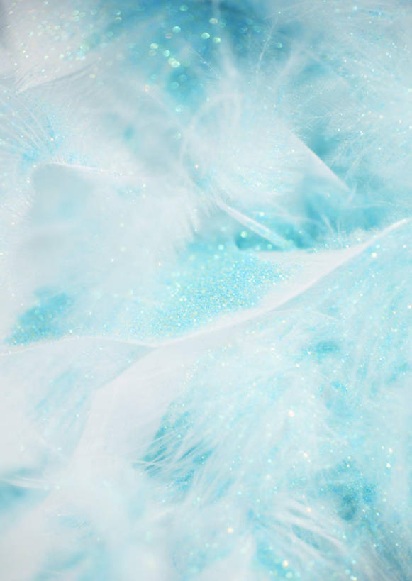 无人,竖图,室内,特写,白天,正面,静物,羽毛,阴影,轻盈,柔软,透明,反射,影子,蓝色,柔滑,轻柔,理智,沉静,冷色,高深,冷淡,娇嫩,柔嫩,优柔,彩图