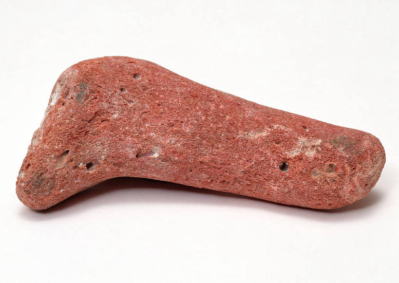 无人,横图,俯视,室内,特写,白天,白色背景,石头,桌子,静物,一块,阴影,遗迹,反射,纹路,化石,石子,纹理,影子,海洋生物,无脊椎动物,红色,摄影,影棚,腔肠动物,肌理,珊瑚虫,遗体,古生物,石块,岩石,彩图,高角度拍摄,影棚拍摄,拍摄