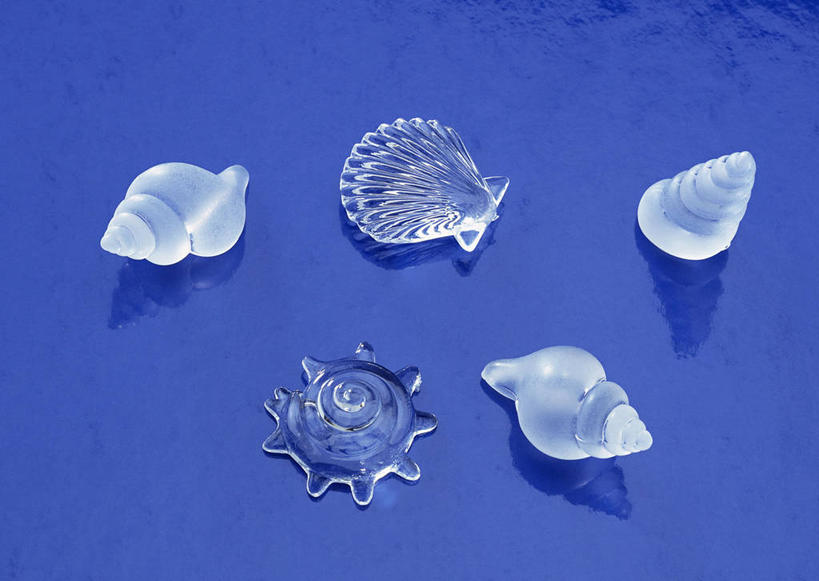 无人,横图,室内,特写,白天,正面,礁石,石头,海蜇,静物,工艺美术品,玻璃,五个,许多,阴影,蓝色背景,艺术,反射,石子,影子,艺术品,海螺,美丽,扇贝,海洋生物,无脊椎动物,玻璃制品,工艺品,摄影,影棚,工艺,软体动物,峨螺,海扇,腔肠动物,美术,水生动物,浮游动物,水生物,凶猛,海底动物,礁,石块,岩石,水母,彩图,影棚拍摄,拍摄