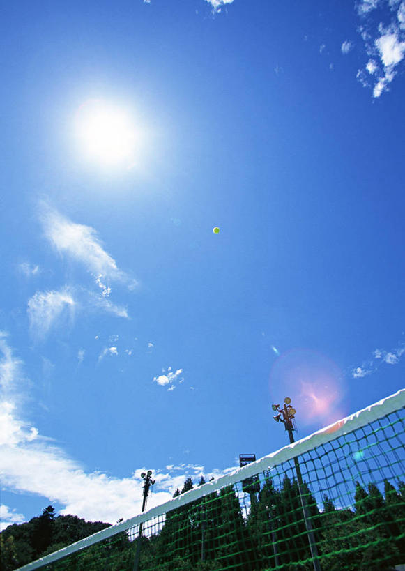 无人,竖图,室外,白天,仰视,太阳,植物,阴影,光线,影子,云,云朵,球网,云彩,树,树木,蓝色,绿色,白云,蓝天,天空,阳光,自然,天,生长,晴朗,成长,网球球网,晴空,彩图,低角度拍摄