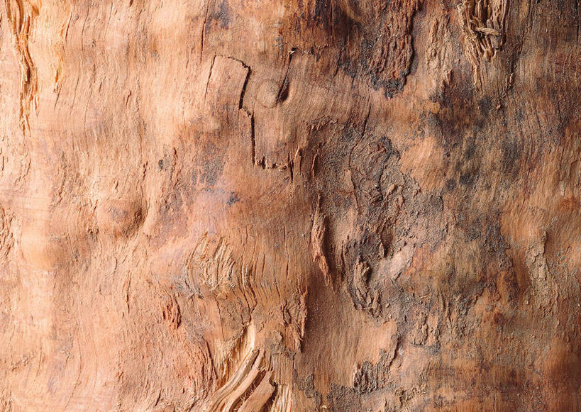 无人,横图,室内,特写,白天,正面,装修,静物,丰富,纹路,木材,纹理,褐色,年轮,装潢,木柴,室内装潢,成熟,木料,家居装潢,房屋设计,室内设计,肌理,谦让,随和,设计,彩图