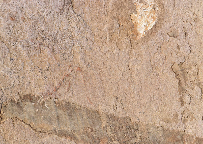 无人,横图,室内,特写,白天,正面,建材,装饰,粗糙,纹路,瓷砖,地砖,纹理,棕色,地面,华丽,修饰,花岗岩,点缀,毛糙,建筑材料,肌理,衬托,美观,雅致,雅观,火成岩,岩浆岩,彩图,粗拙